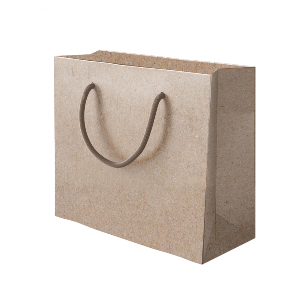 SACOLA KRAFT - COM 25 UNIDADES