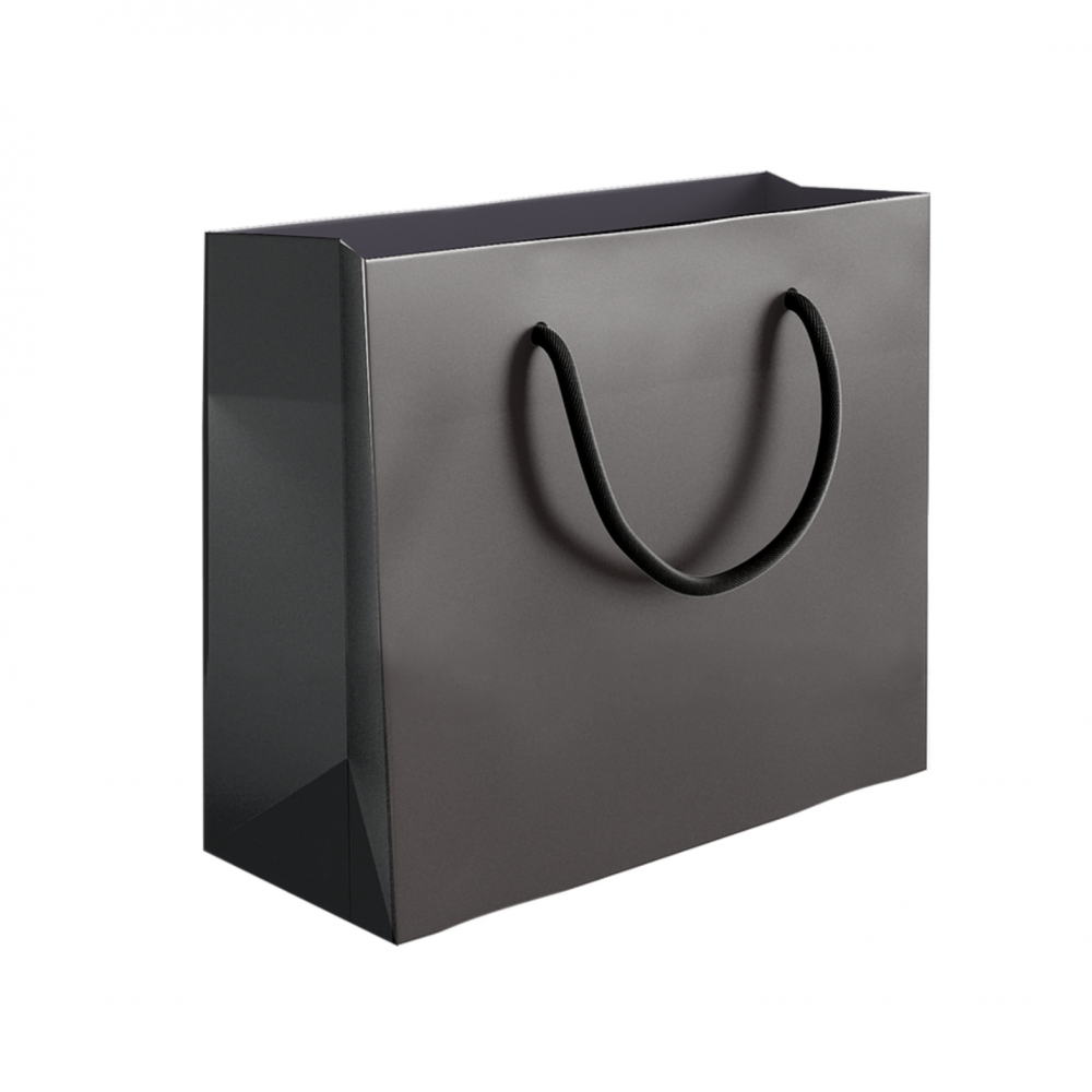 SACOLA PRETA - COM 25 UNIDADES