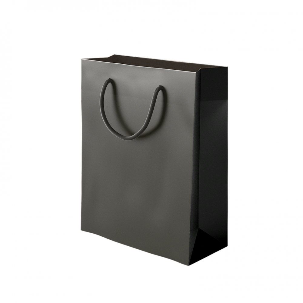 SACOLA PRETA - COM 25 UNIDADES